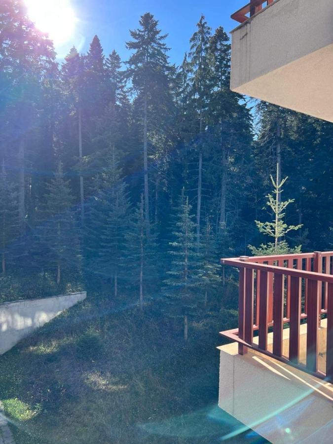 Arboro Flora Residence Studio Borovets Extérieur photo