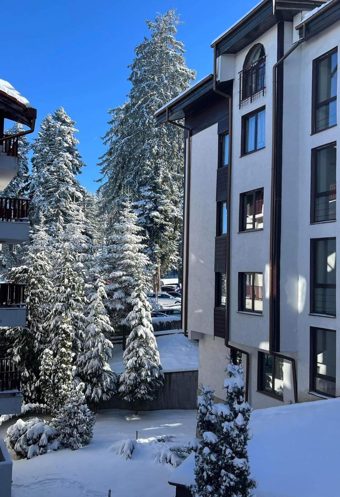 Arboro Flora Residence Studio Borovets Extérieur photo