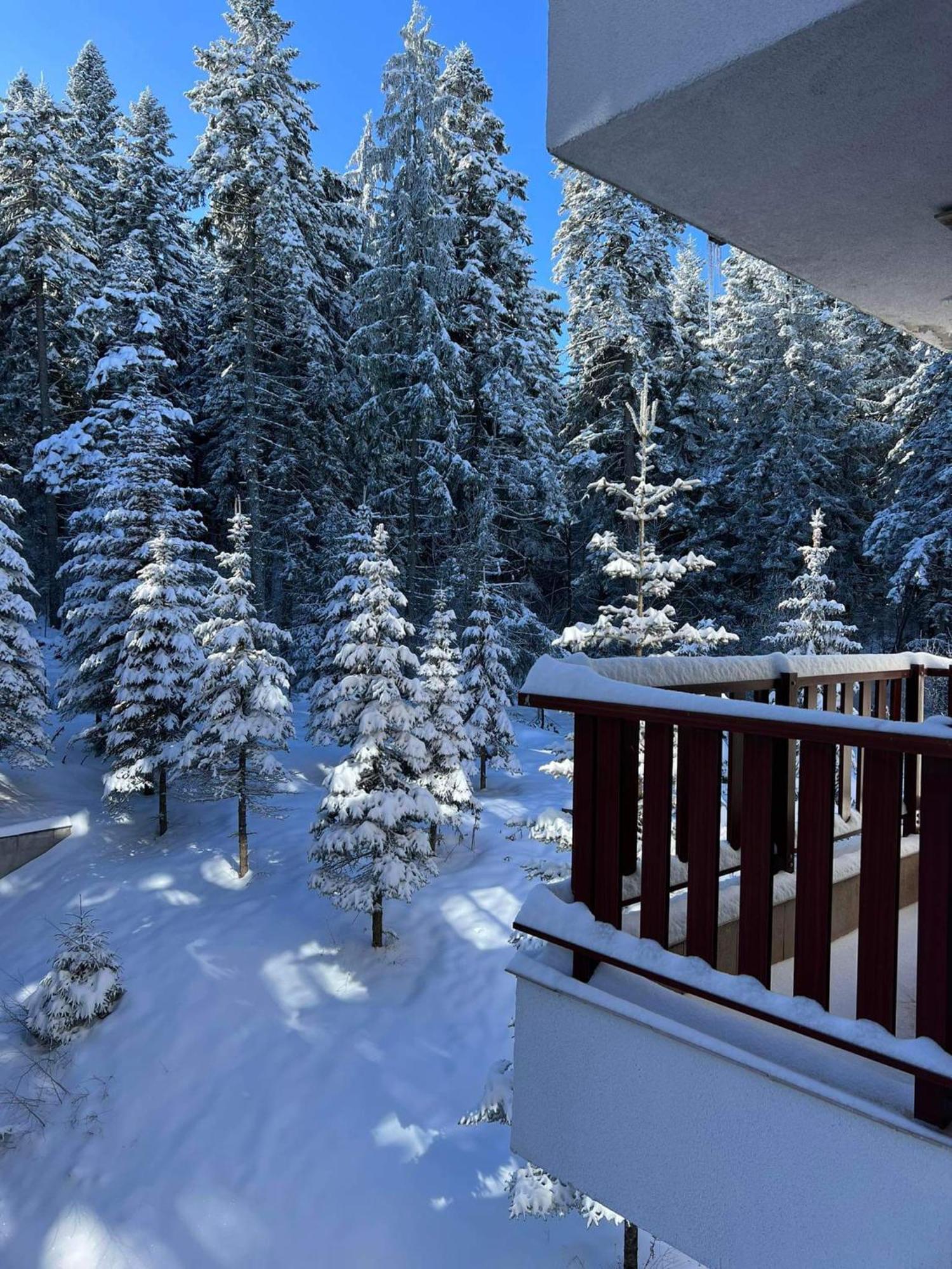 Arboro Flora Residence Studio Borovets Extérieur photo