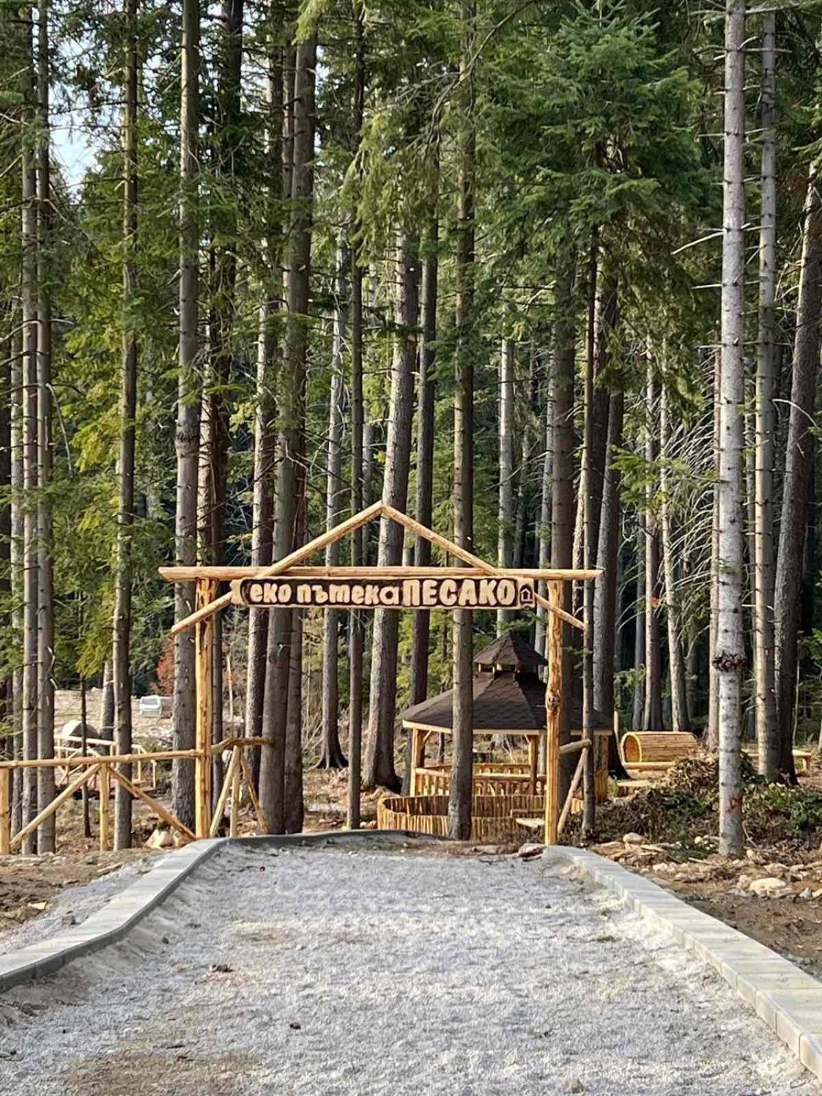 Arboro Flora Residence Studio Borovets Extérieur photo