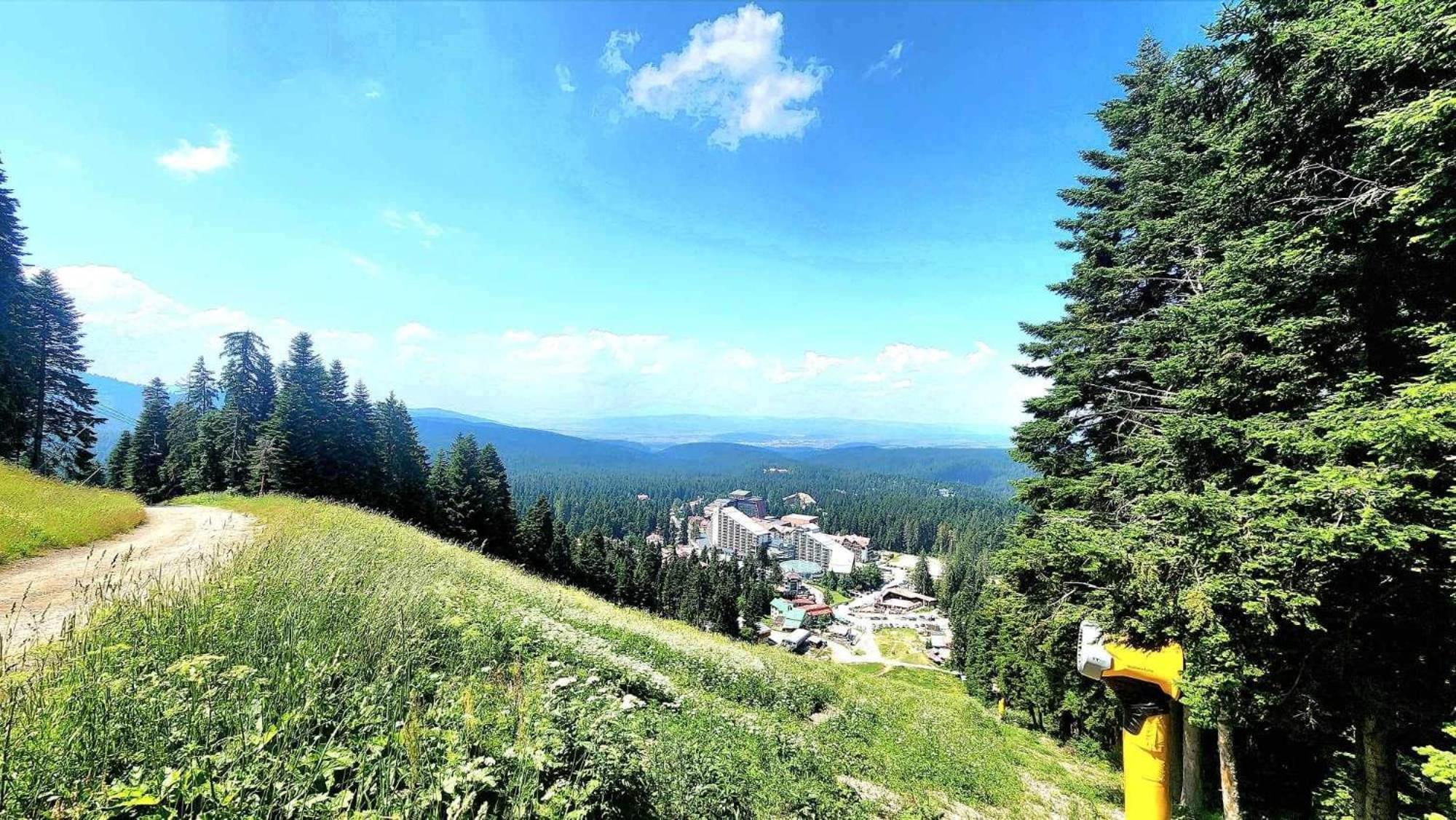 Arboro Flora Residence Studio Borovets Extérieur photo